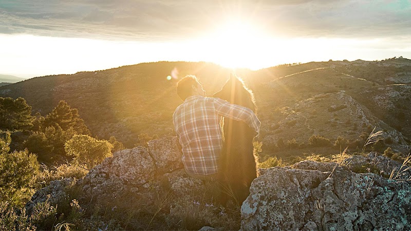 Water Bridge Aquamation
