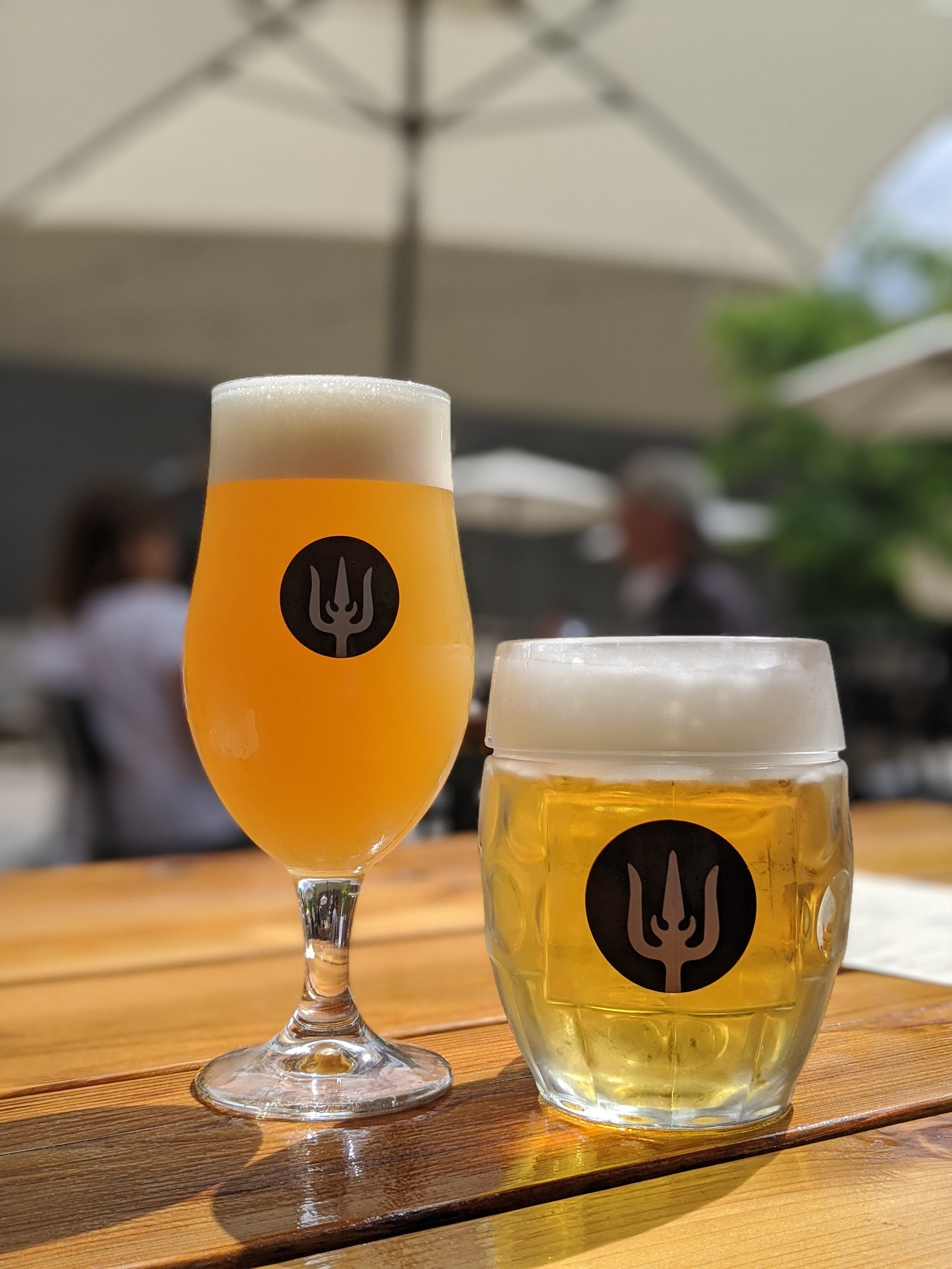 Wayfinder Beer