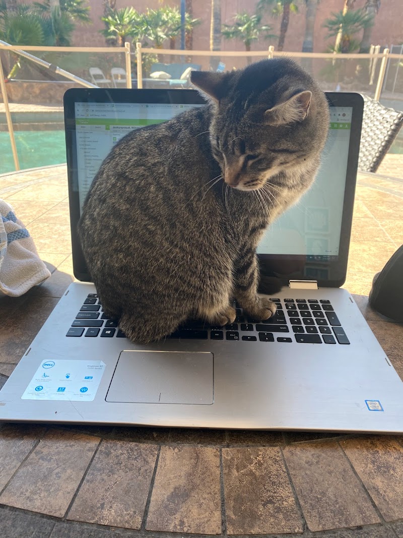 We Care Pet Services photo 2