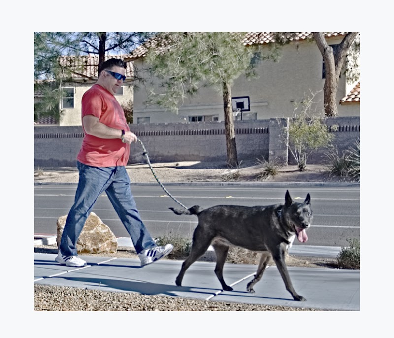 We Care Pet Services photo 3