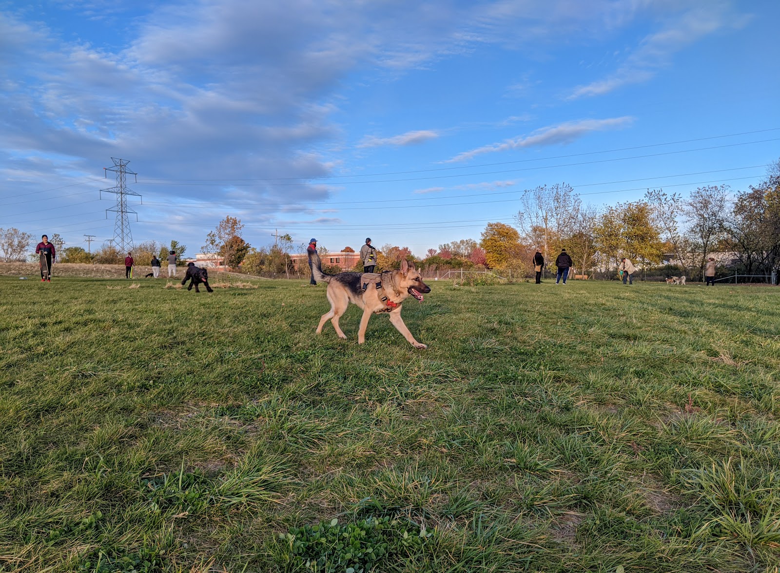 West Allis Dog Park