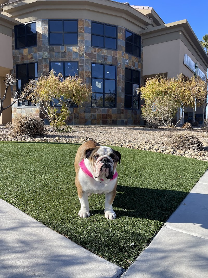 West Charleston Animal Hospital photo 2