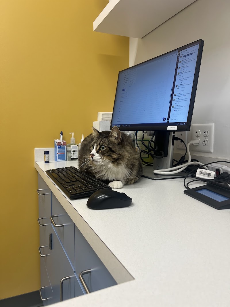 West Coast Animal Hospital