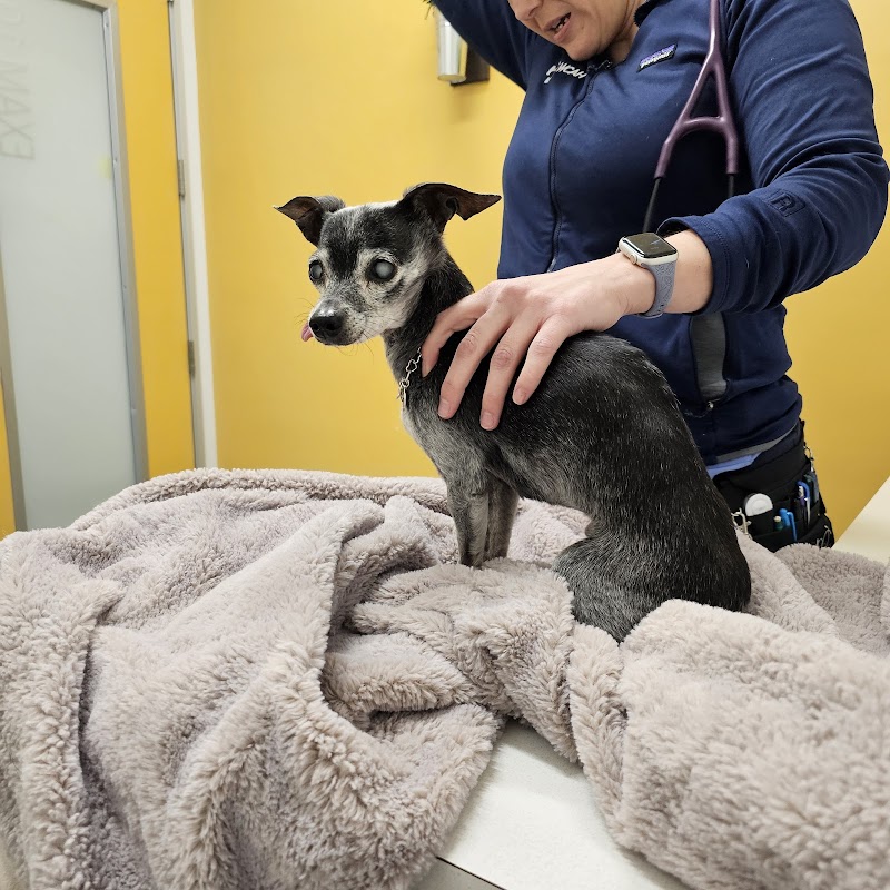 West Coast Animal Hospital photo 2