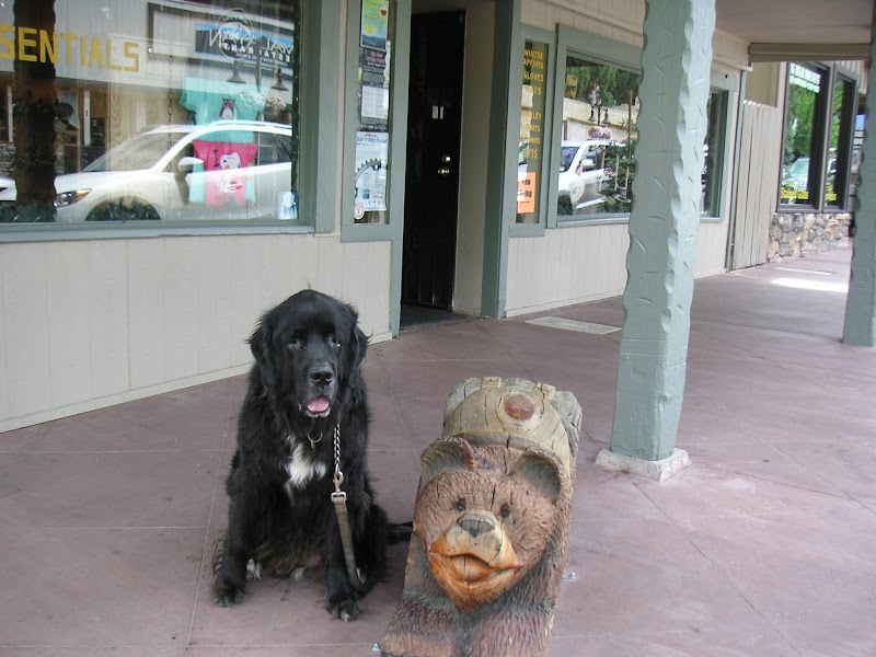 West Coast Pet Memorial photo 3