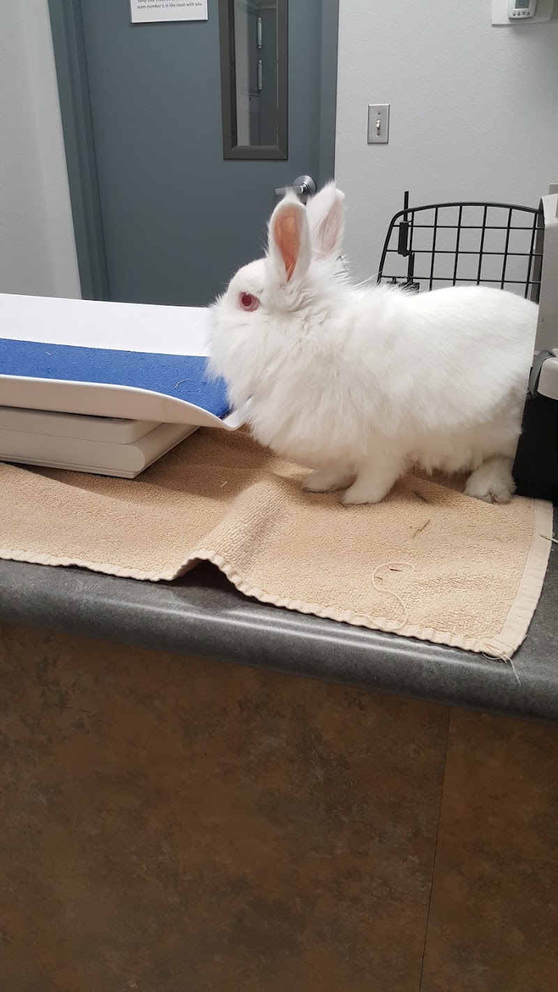 West Flamingo Animal Hospital