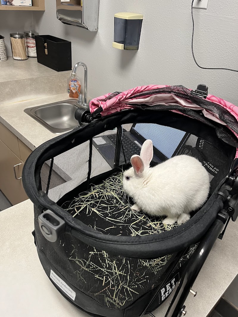 West Flamingo Animal Hospital photo 2