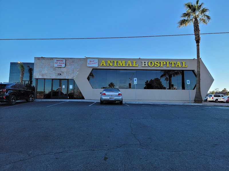 West Flamingo Animal Hospital photo 3