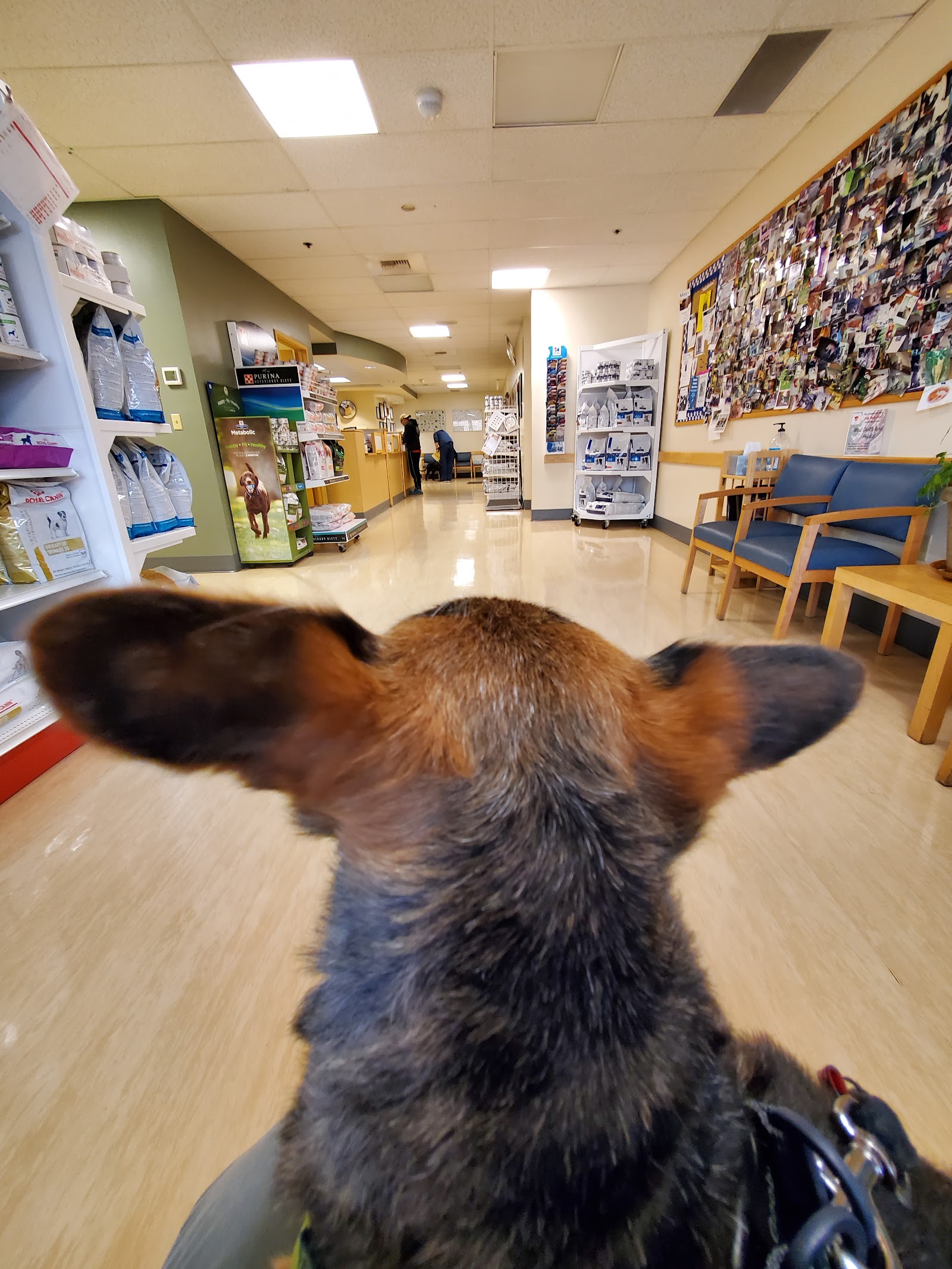 West Seattle Animal Hospital