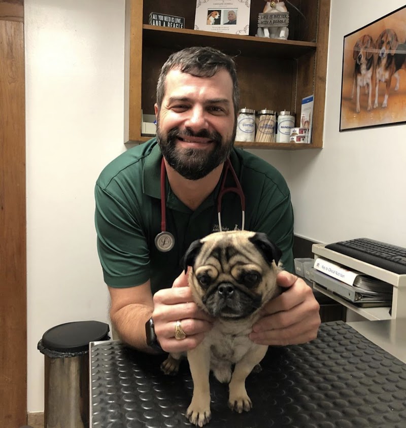 Westlake Animal Hospital, A Thrive Pet Healthcare Partner