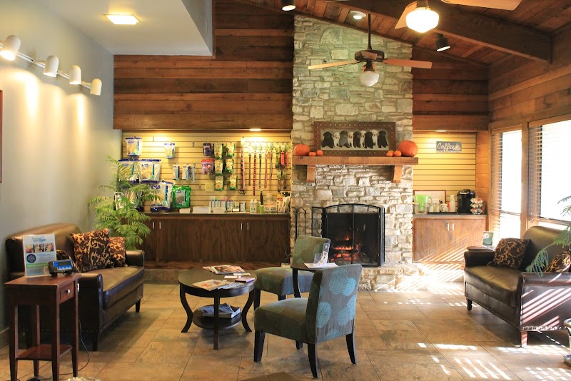 Westlake Animal Hospital, A Thrive Pet Healthcare Partner photo 3