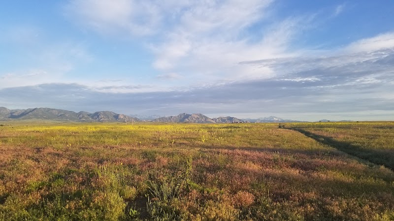 Westminster Hills Open Space Off-Leash Area photo 3