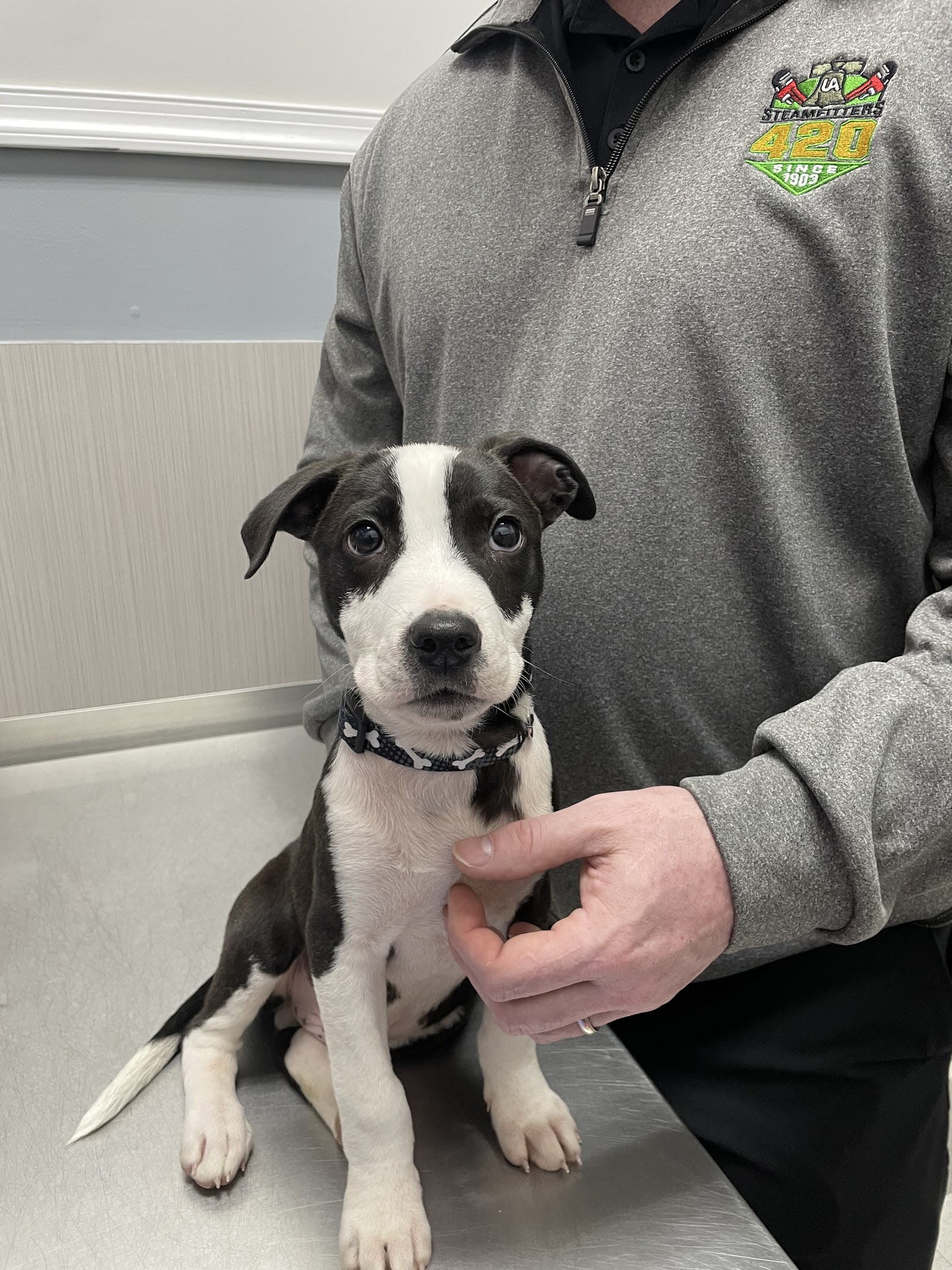 Wet Nose Rescue