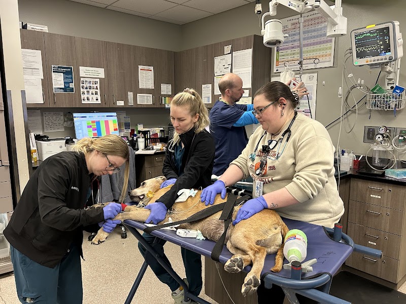 Wheat Ridge Animal Hospital photo 2