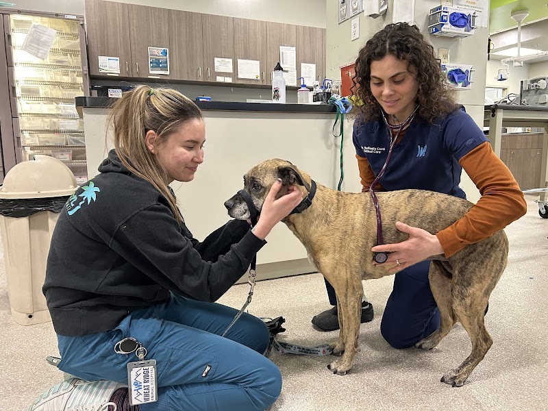 Wheat Ridge Animal Hospital photo 3