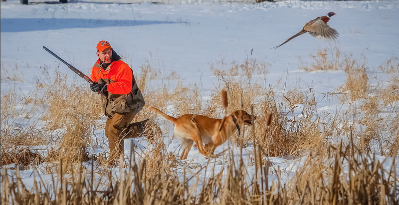 Whitewater Retrievers