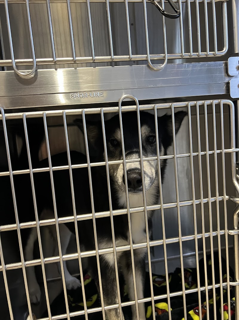 Williamson County Regional Animal Shelter photo 3