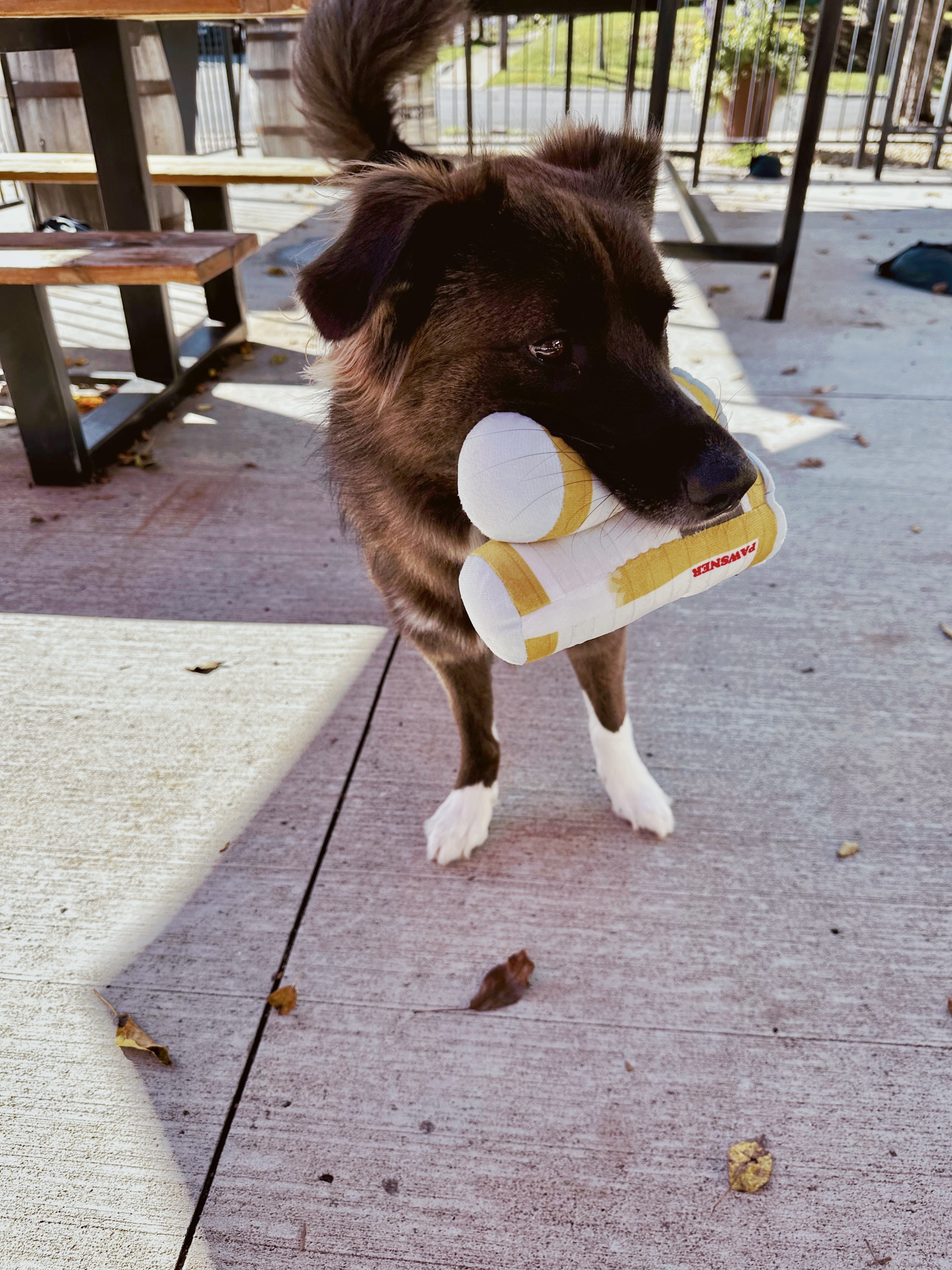 Wooden Ship Brewing Company photo 3