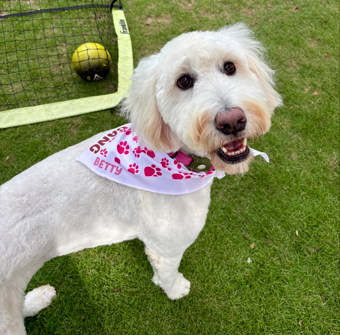 Woof Gang Bakery & Grooming Beltline