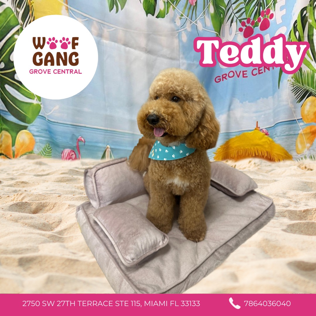 Woof Gang Bakery & Grooming Grove Central