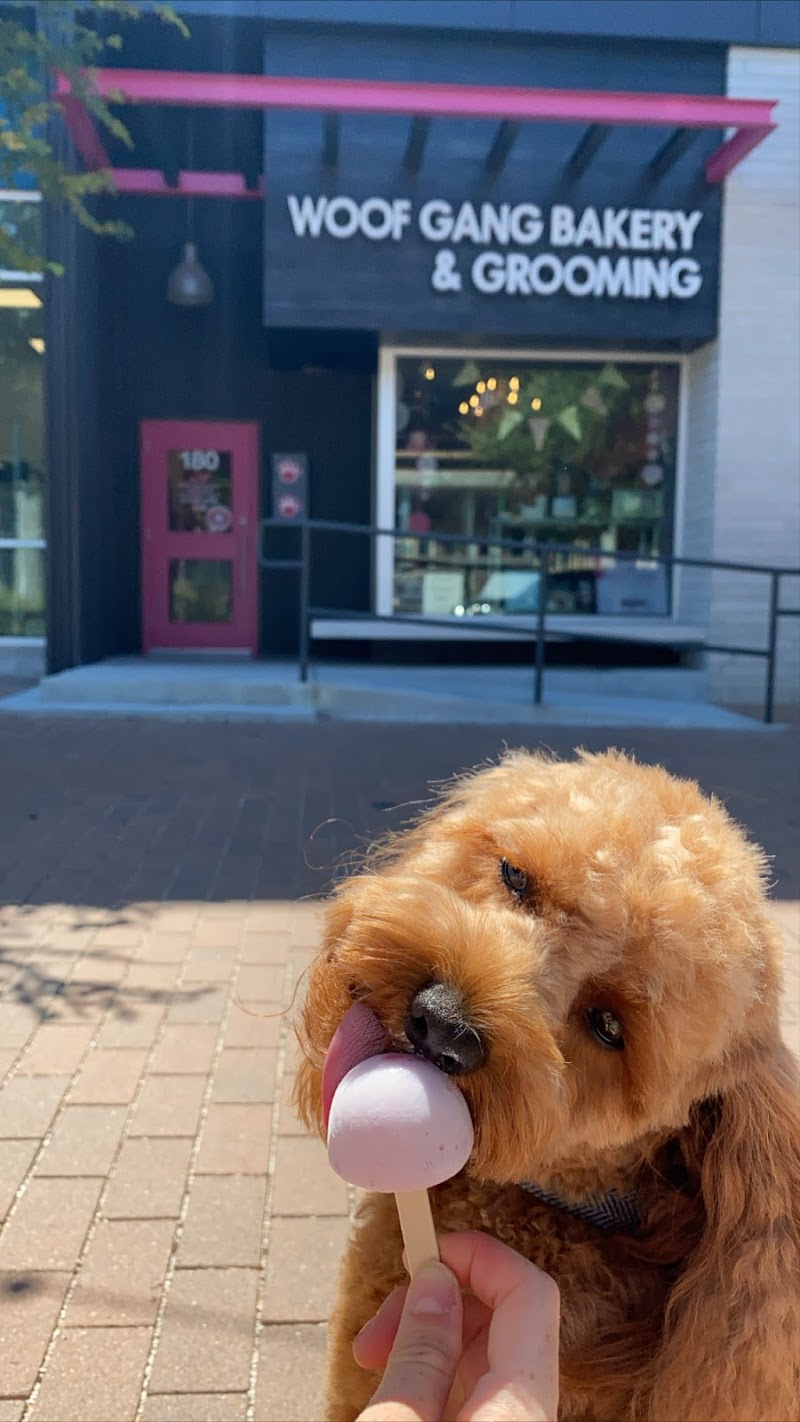 Woof Gang Bakery & Grooming Mueller photo 3