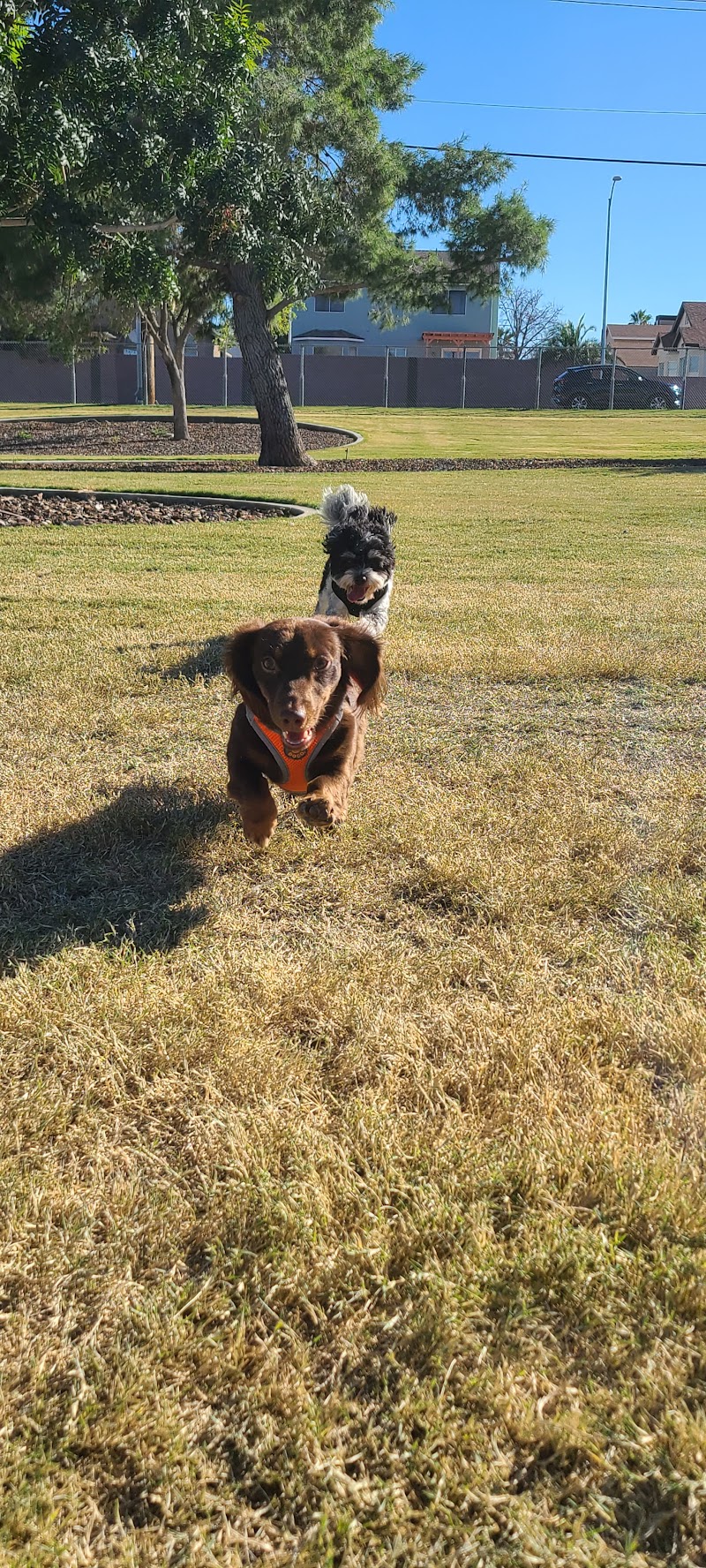 Woofter Family Park photo 3