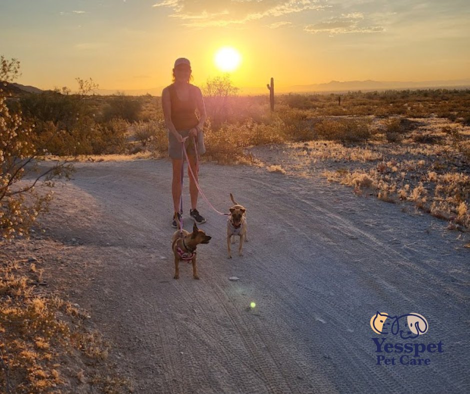 Yesspet Pet Care