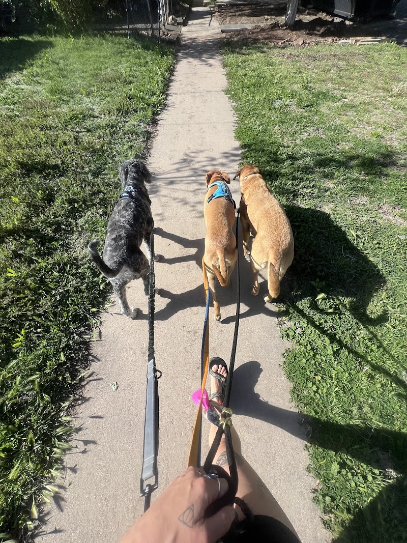 Your Denver Sitter photo 2