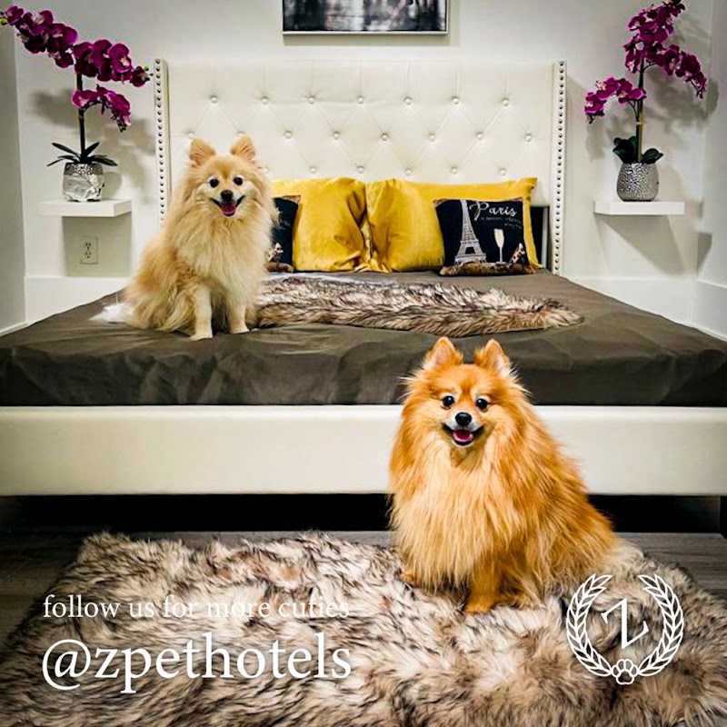Z Pet Hotels