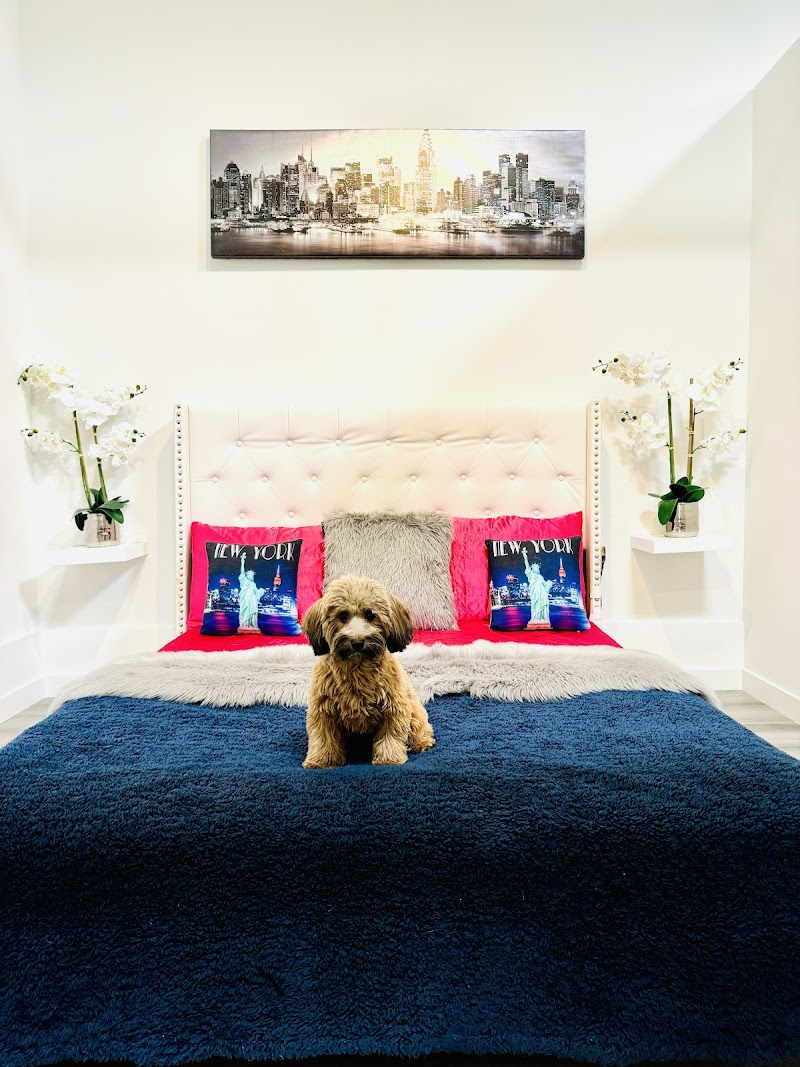 Z Pet Hotels photo 3