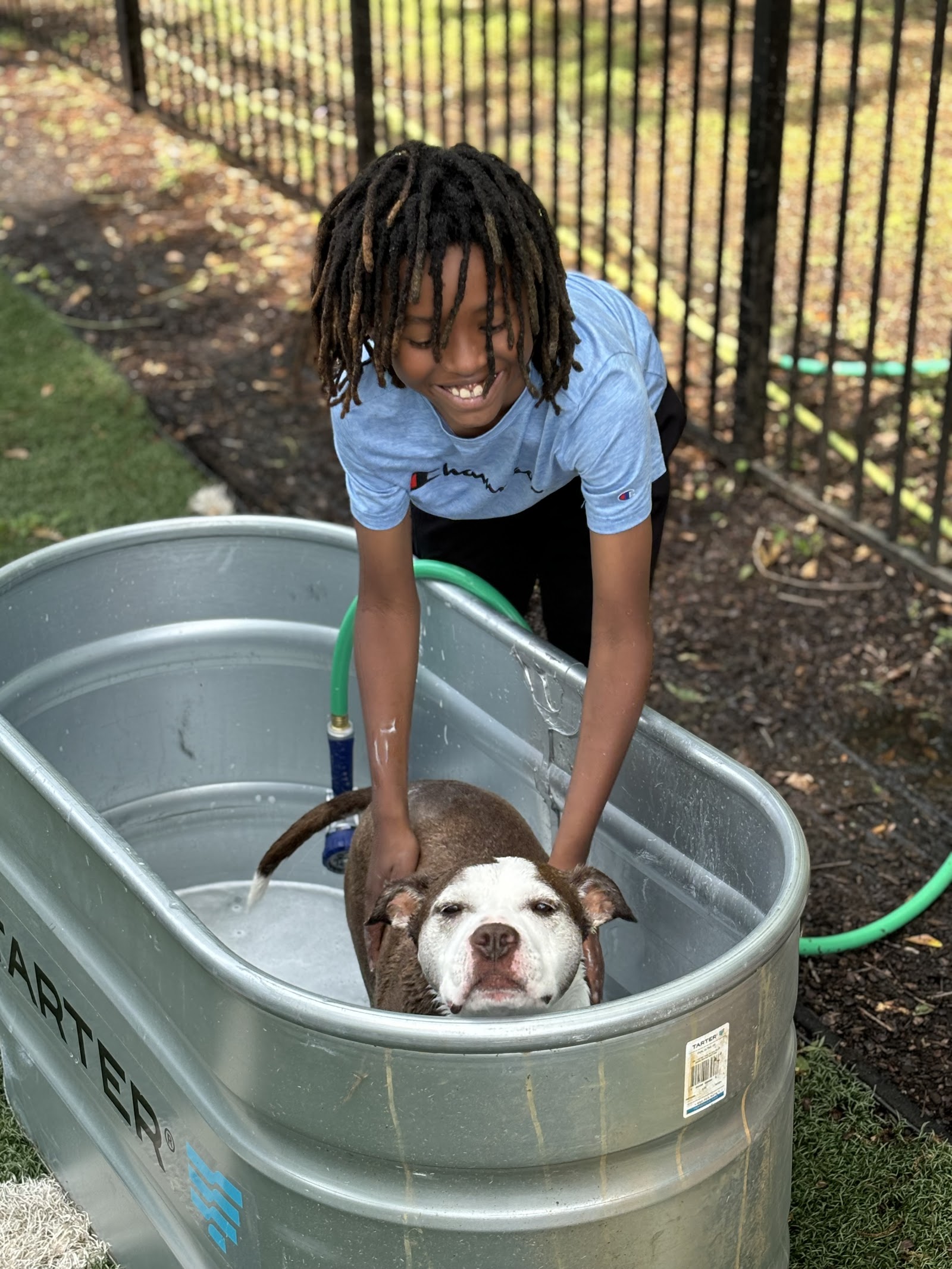 Zeno's Backyard Bark Park