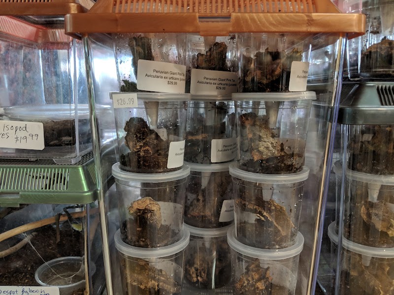 Zookeeper Exotics photo 3