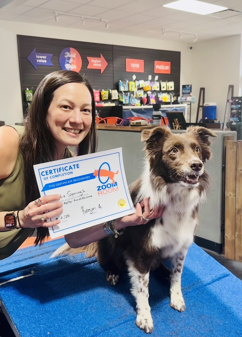 Zoom Room Dog Training photo 3