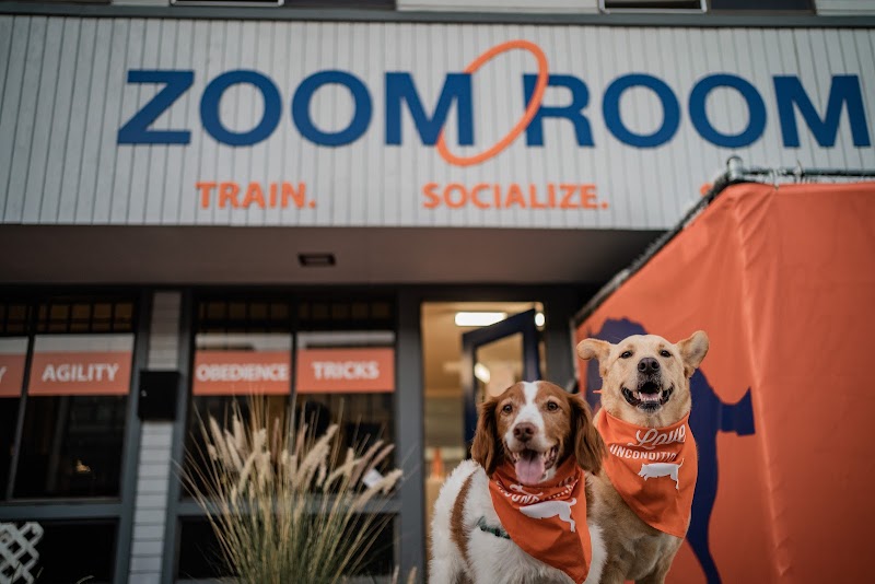 Zoom Room Dog Training
