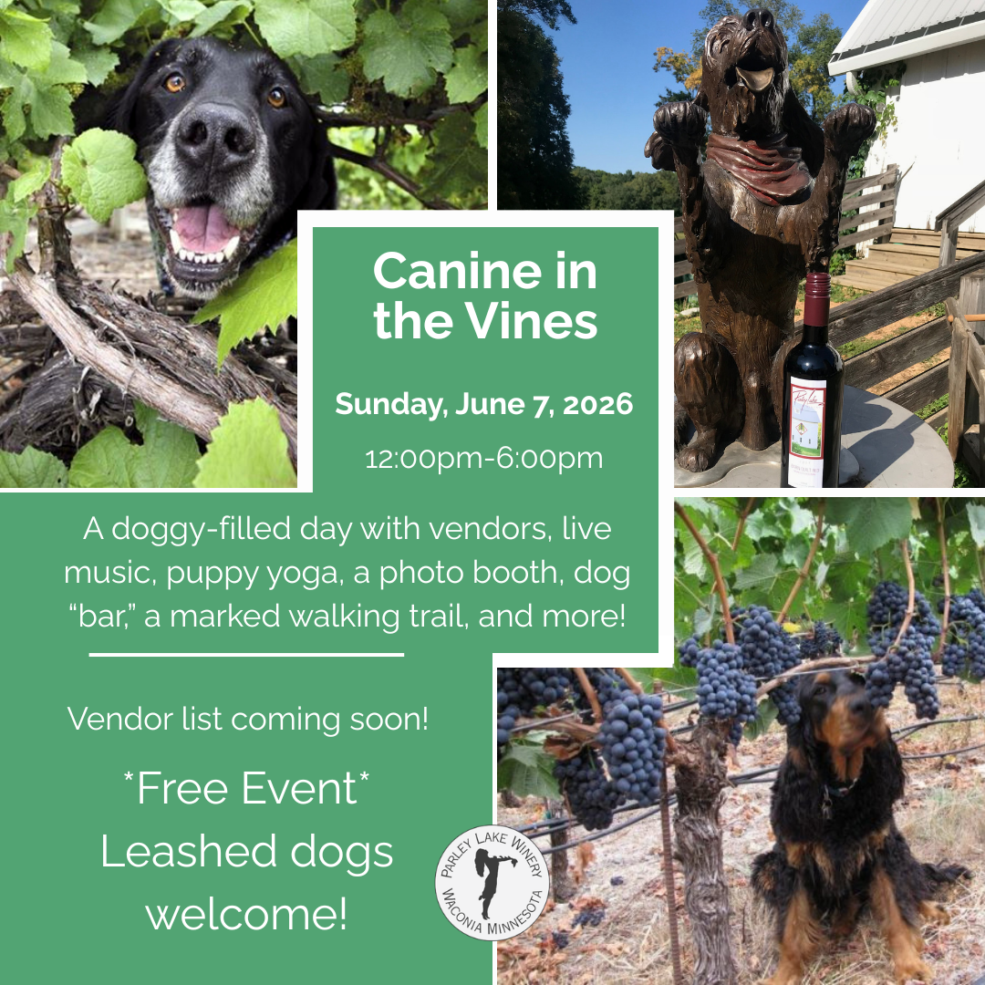Canine in the Vines